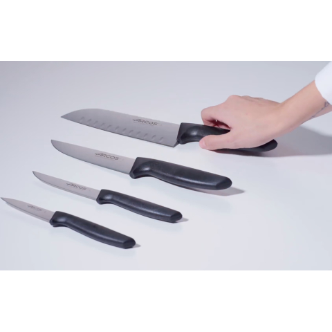 Couteau cuisine chef Série Niza 200 mm - Arcos