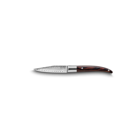 Bloc magnétique de 5 couteaux Lame Damas - Laguiole