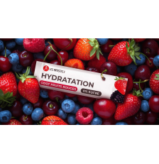 Sachet 10 sticks citron hydratation électrolytes - Les Artistes