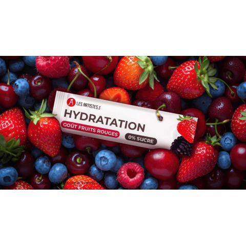 Sachet 10 sticks nature hydratation électrolytes - Les Artistes