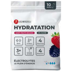 Sachet 10 sticks nature hydratation électrolytes - Les Artistes