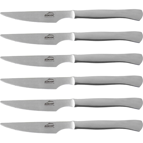 Set 6 couteaux monobloc...